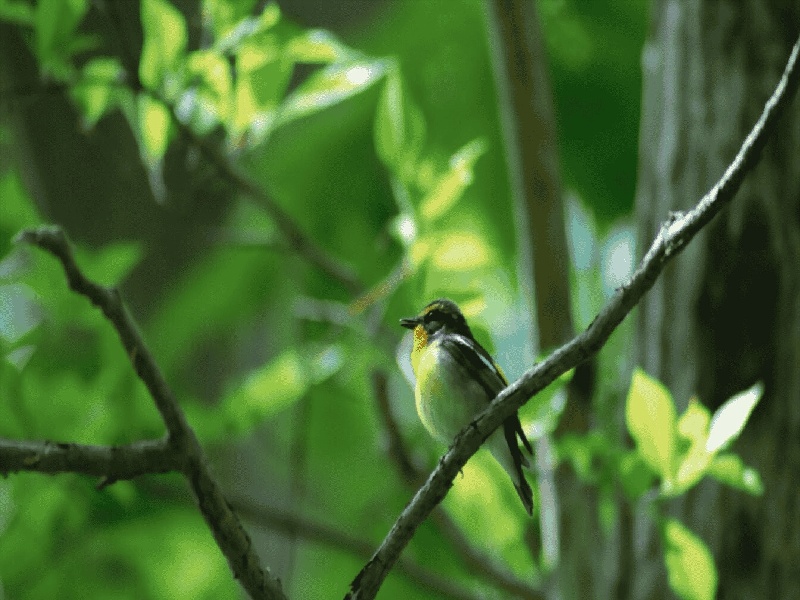 海淀妇幼试管咋样(试管流产要钱吗)